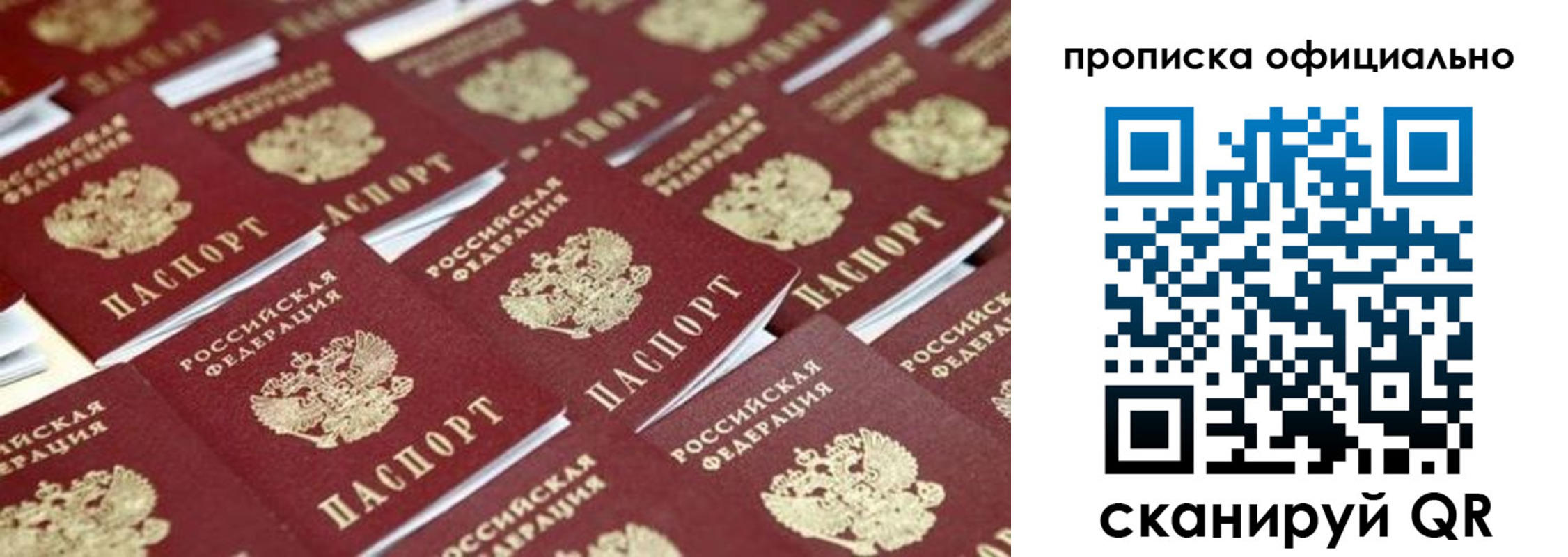 прописка гарантия в Новошахтинске